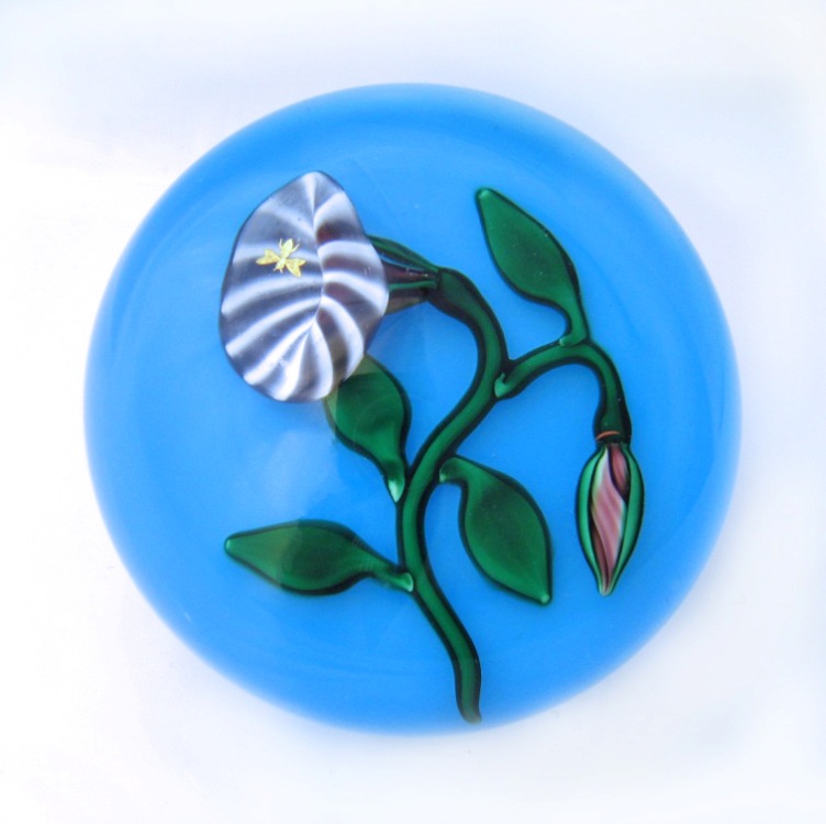 Farfalla Paperweight Kaziun Charles Jr Ackerwinde und goldene Biene CK 101