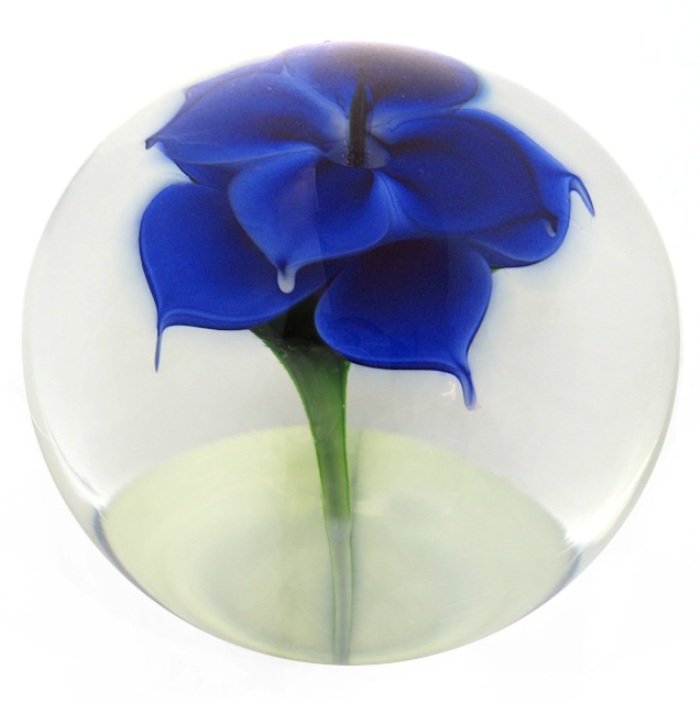Farfalla Paperweight Lotton Daniel Blaue Blume der Romantik 203 Dn