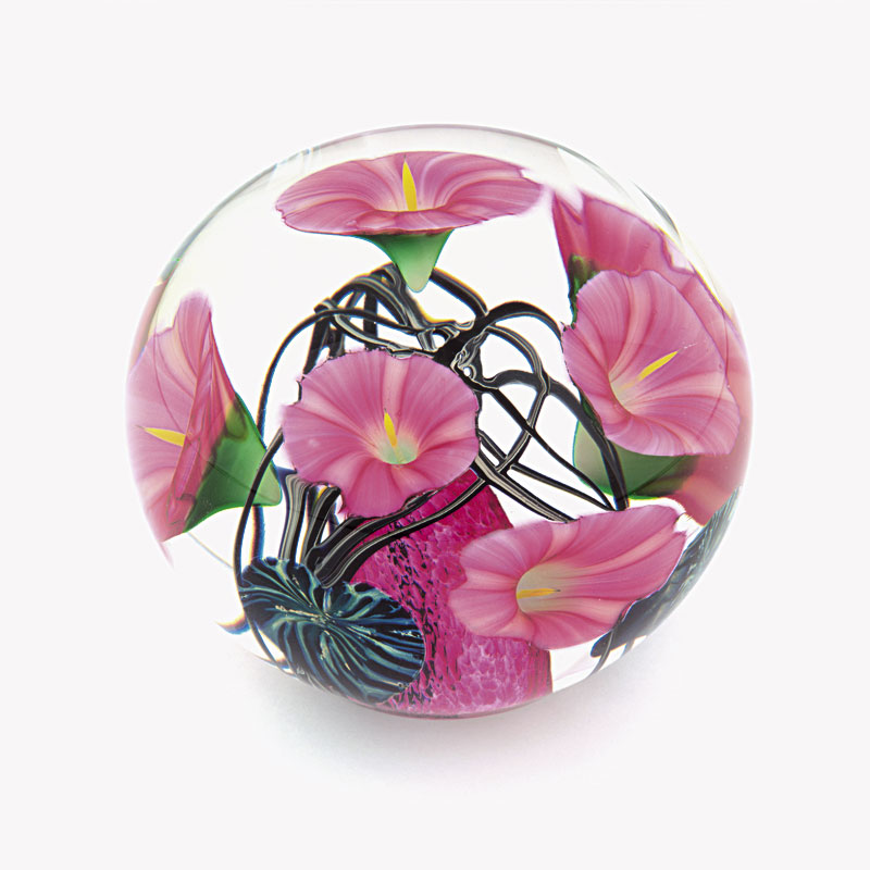 Farfalla Paperweight Lotton Jeremiah Pink Morning Glory 180 Je