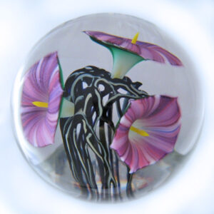 Farfalla Paperweight Lotton Jeremiah Purple Morning Glory 184 Je