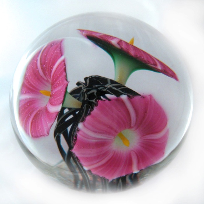 Farfalla Paperweight Lotton Jeremiah Red Morning Glory 183 Je