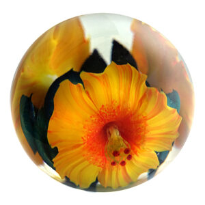 Farfalla Paperweight Lotton Studio Goldgelbe Hibiskusblueten 224 LoSt