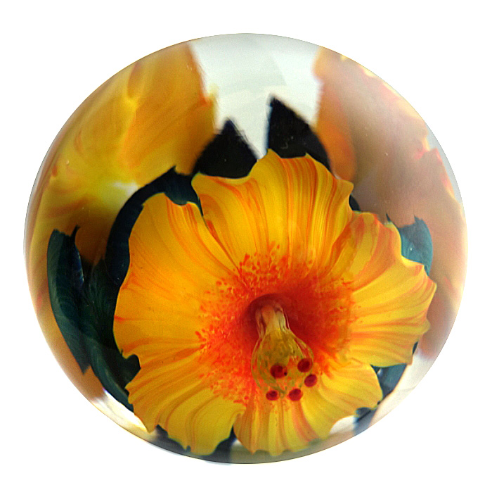 Farfalla Paperweight Lotton Studio Goldgelbe Hibiskusblueten 224 LoSt