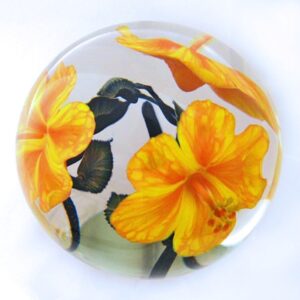 Farfalla Paperweight Lotton Studio Orange goldgelbe Hibiskusblueten 190 2 LoSt