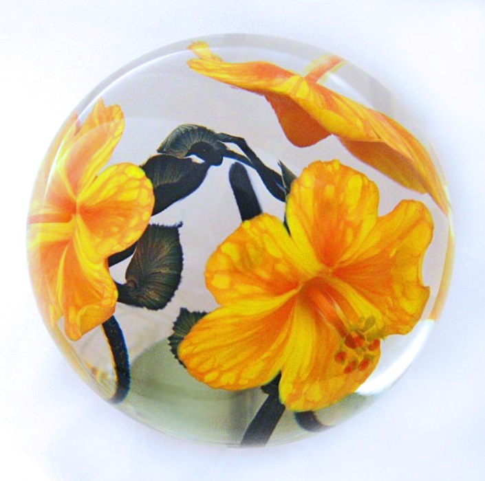 Farfalla Paperweight Lotton Studio Orange goldgelbe Hibiskusblueten 190 2 LoSt