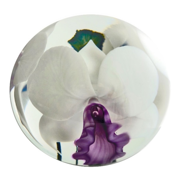 Farfalla Paperweight Lotton Studio Orchidee White Lady 226 LoSt