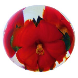 Farfalla Paperweight Lotton Studio Rote Hibiskusblueten 223 LoSt