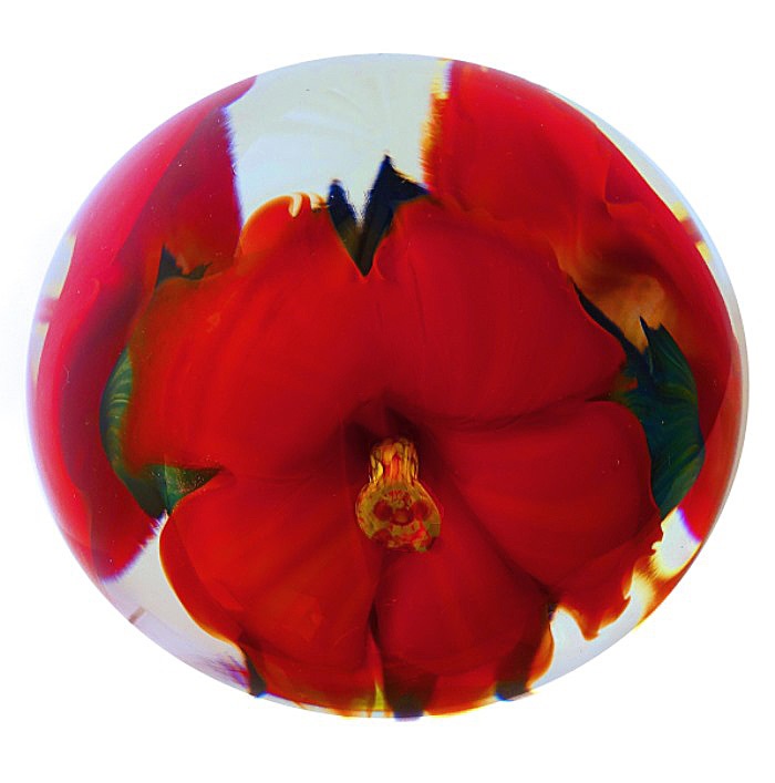 Farfalla Paperweight Lotton Studio Rote Hibiskusblueten 223 LoSt