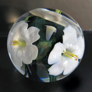 Farfalla Paperweight Lotton Studio Weisse Hibiskusblueten 200 LoSt