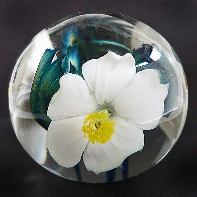 Farfalla Paperweight Lotton Studio Weisse Hibiskusblueten 215 LoSt