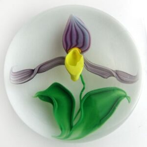 Farfalla Paperweight Lundberg Steven Frauenschuh Orchidee LS StL 231