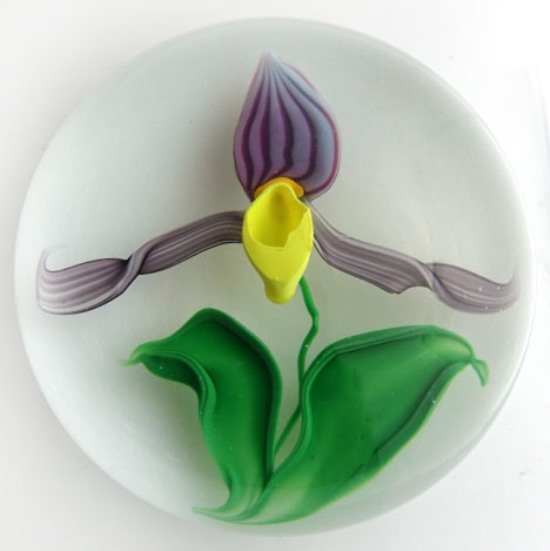 Farfalla Paperweight Lundberg Steven Frauenschuh Orchidee LS StL 231