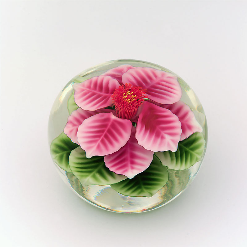 Farfalla Paperweight Lundberg Steven Pinke Passionsblume LS 125
