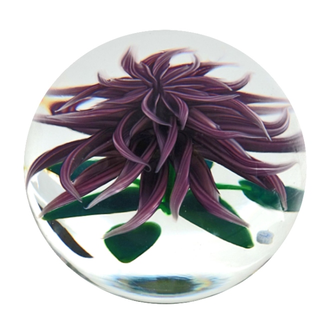 Farfalla Paperweight Lundberg Steven Violette Chrysantheme LS StL 901