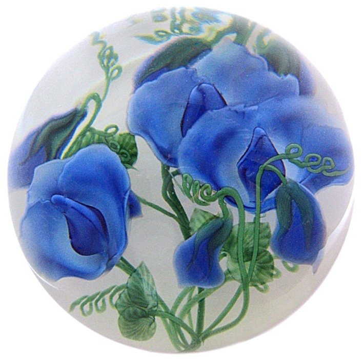 Farfalla Paperweight Lundberg Studios Blaue Gartenwicke Sweet Pea LS 136L