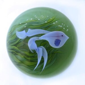 Farfalla Paperweight Lundberg Studios Blauer Kampffisch LS 155BM 2
