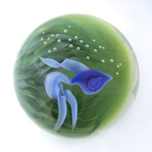 Farfalla Paperweight Lundberg Studios Blauer Kampffisch LS 155BM 3