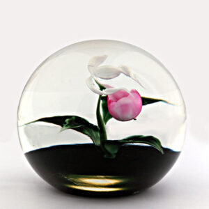 Farfalla Paperweight Lundberg Studios Frauenschuh Orchidee Lady Slipper LS 165