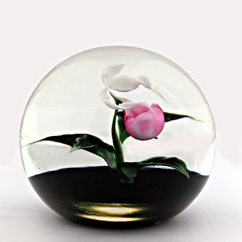 Farfalla Paperweight Lundberg Studios Frauenschuh Orchidee Lady Slipper LS 165