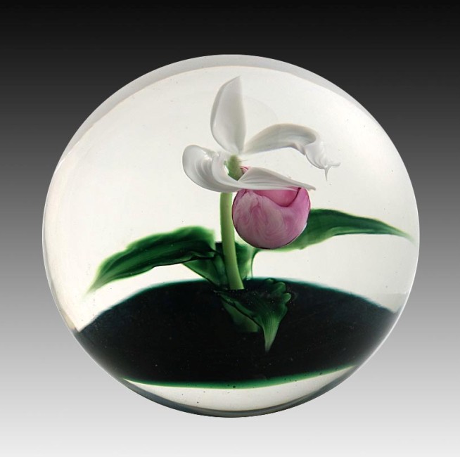 Farfalla Paperweight Lundberg Studios Frauenschuh Orchidee Lady Slipper LS 165 3M