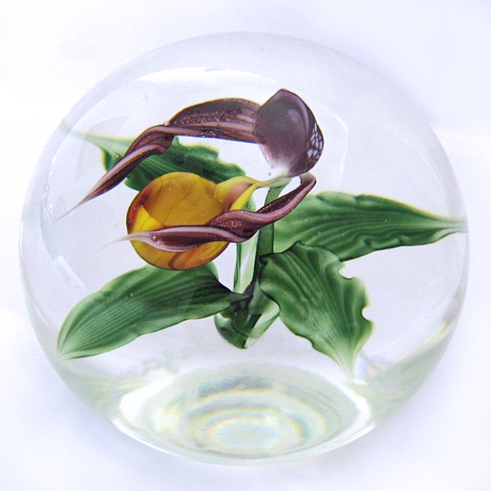 Farfalla Paperweight Lundberg Studios Frauenschuh Orchidee Lady Slipper LS 166 2