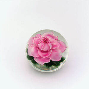 Farfalla Paperweight Lundberg Studios Julias Rose Miniatur LS 163M