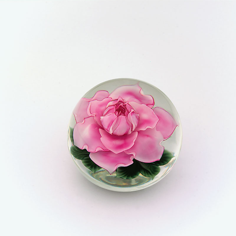 Farfalla Paperweight Lundberg Studios Julias Rose Miniatur LS 163M