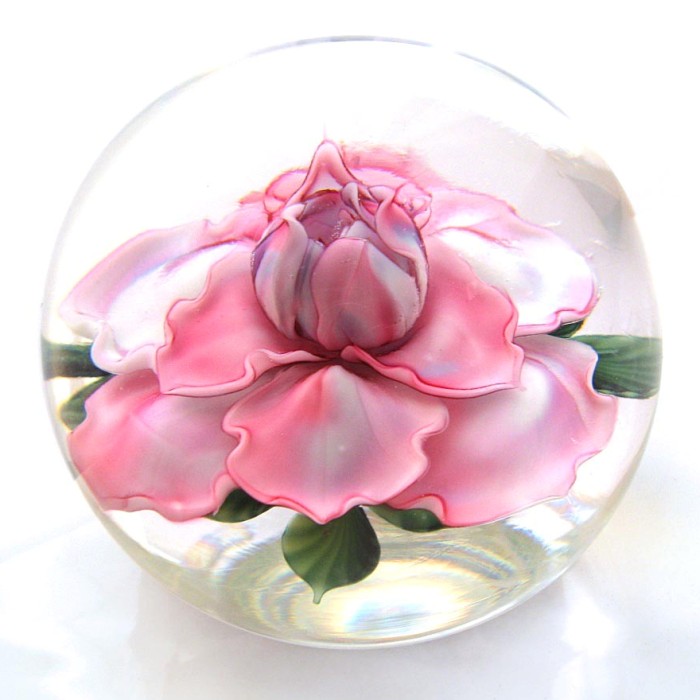Farfalla Paperweight Lundberg Studios Julias Rose LS 163
