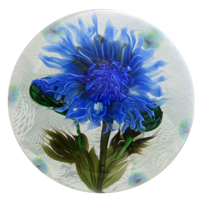 Farfalla Paperweight Lundberg Studios Kornblume auf Lace Bachelor Button LS 141M