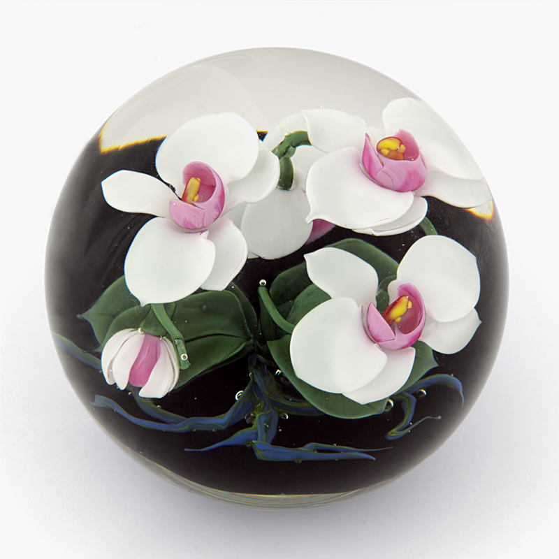 Farfalla Paperweight Lundberg Studios Nachtfalterorchidee LS 178