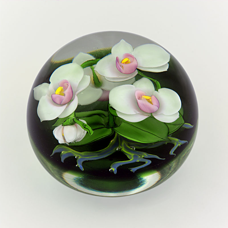 Farfalla Paperweight Lundberg Studios Nachtfalterorchidee LS 178M 2