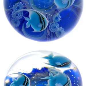 Farfalla Paperweight Lundberg Studios Tropischer Gezeitenpool blau LS 195B 2