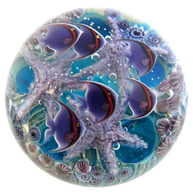 Farfalla Paperweight Lundberg Studios Tuerkis Tropical Tidepool LS 184