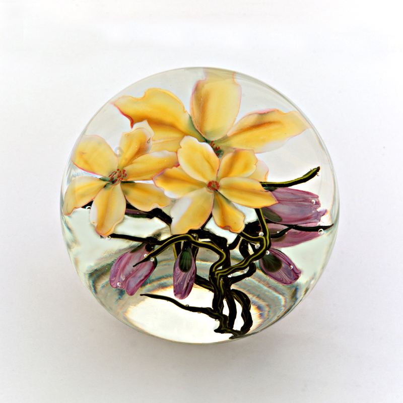 Farfalla Paperweight Lundberg Studios Tulpenmagnolien LS 198G