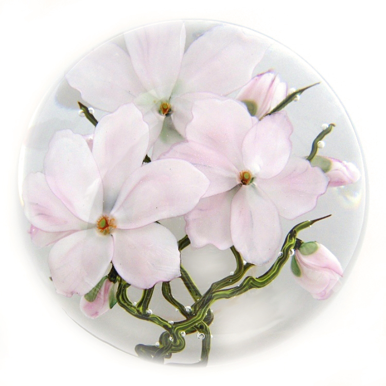 Farfalla Paperweight Lundberg Studios Tulpenmagnolien LS 198 2