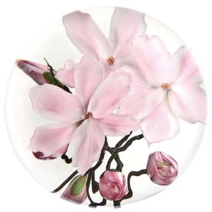 Farfalla Paperweight Lundberg Studios Tulpenmagnolien LS 198 3