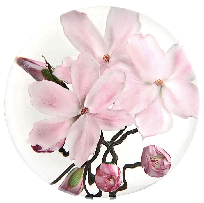 Farfalla Paperweight Lundberg Studios Tulpenmagnolien LS 198 3