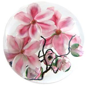 Farfalla Paperweight Lundberg Studios Tulpenmagnolien LS 198 4