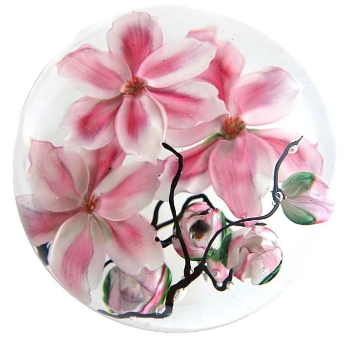 Farfalla Paperweight Lundberg Studios Tulpenmagnolien LS 198 4