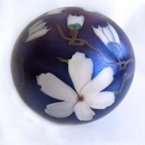 Farfalla Paperweight Lundberg Studios Weisse Tulpenmagnolien LS 198BLWM