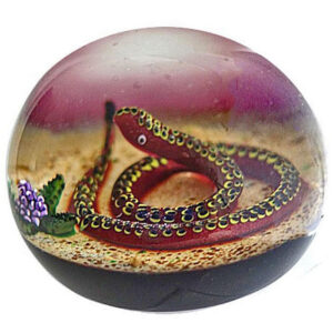 Farfalla Paperweight Manson sen William Schlange Magnum Paperweight WM 2401