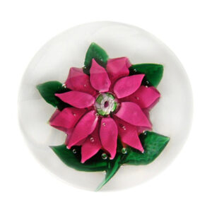 Farfalla Paperweight Poinsette mit Lutz Rose 0929 BuS