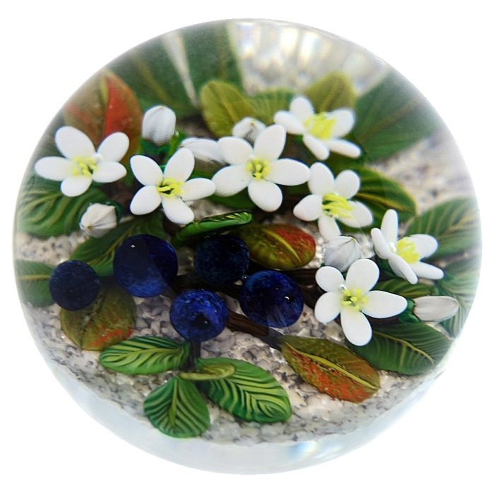 Farfalla Paperweight Richardson Cathy Touchstone Glass Blaubeeren CR 1247