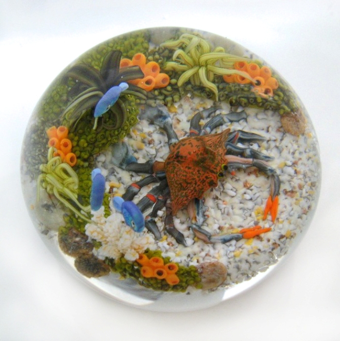 Farfalla Paperweight Richardson Cathy Touchstone Glass Blaue Krabbe CR 147