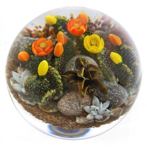 Farfalla Paperweight Richardson Cathy Touchstone Glass Bluehende Kakteen Beavertail Cacti CR 1246