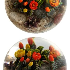 Farfalla Paperweight Richardson Cathy Touchstone Glass Bluehende Kakteen Beavertail Cacti CR 1252