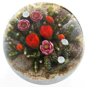 Farfalla Paperweight Richardson Cathy Touchstone Glass Bluehende Kakteen Prickly Pear Cacti CR 1245