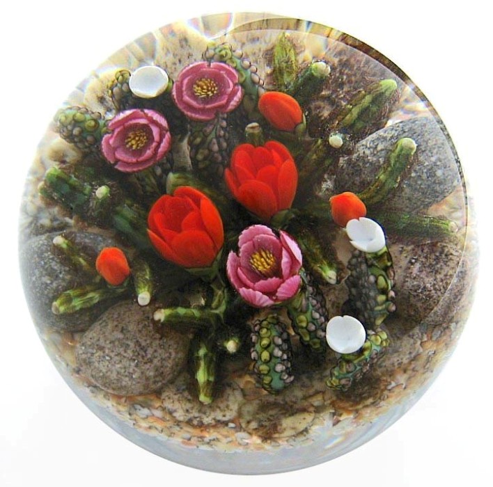 Farfalla Paperweight Richardson Cathy Touchstone Glass Bluehende Kakteen Prickly Pear Cacti CR 1245