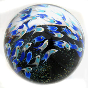Farfalla Paperweight Richardson Cathy Touchstone Glass Fischschwarm blau Magnum CR 073 2