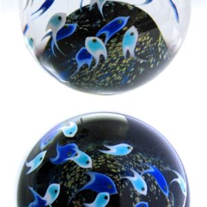 Farfalla Paperweight Richardson Cathy Touchstone Glass Fischschwarm blau CR 072 2